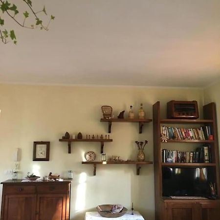 Il Mondo Magico - Immerso Nella Natura - Fauglia ภายนอก รูปภาพ